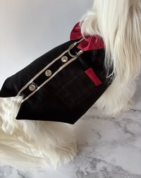 Tuxedo Time Dog Harness Vest with solid cast D-ring ... perfect for lunch out, or for the perfect wedding attire