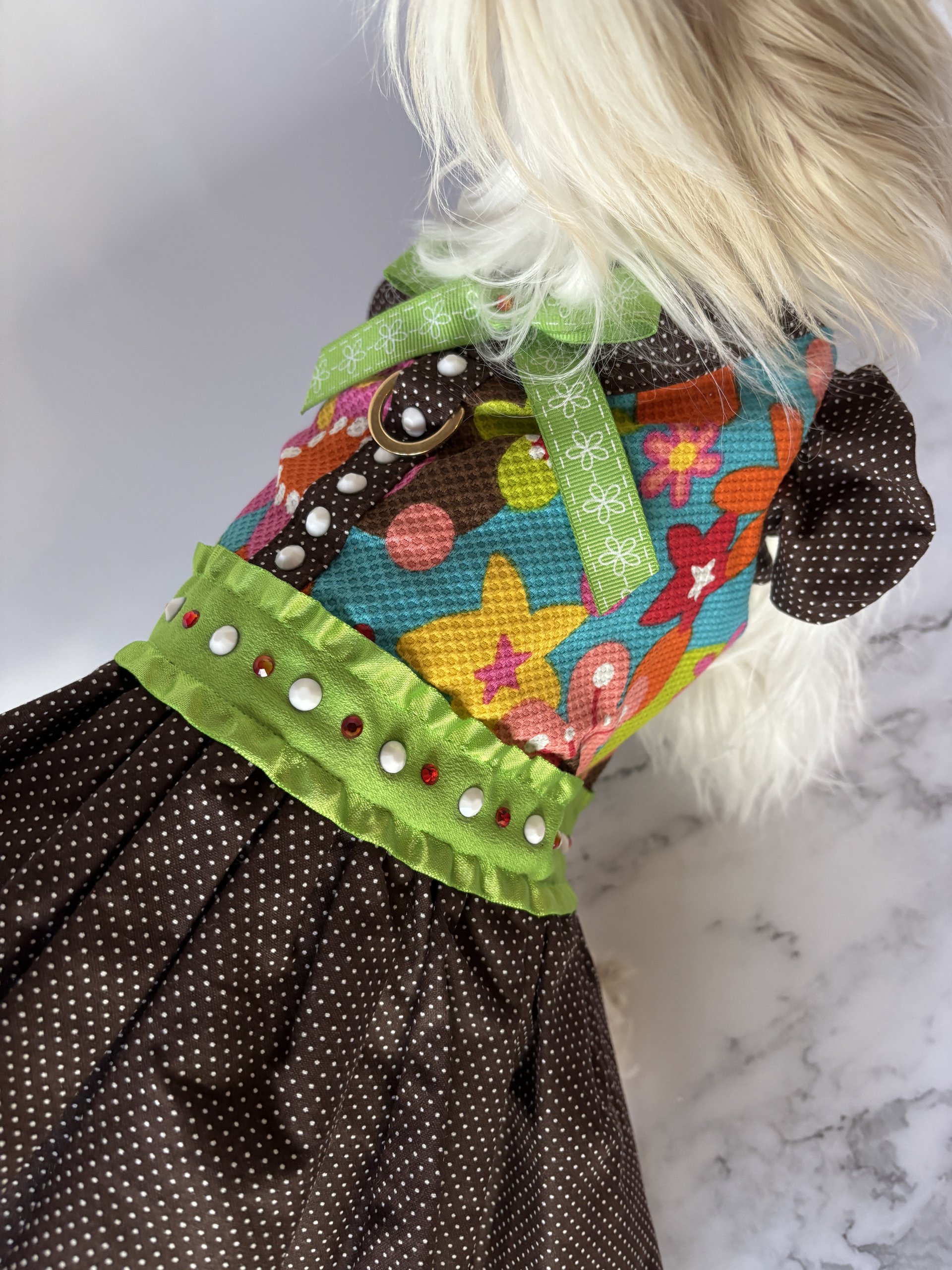 School Days small breed dog Harness Dress with solid cast D-ring & ruffle sleeves