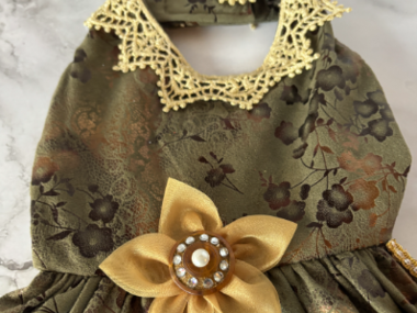 Princess of the Garden Renaissance small breed dog gown/dress