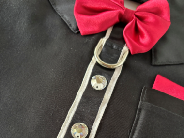 Tuxedo Time Dog Harness Vest with solid cast D-ring ... perfect for lunch out, or for the perfect wedding attire